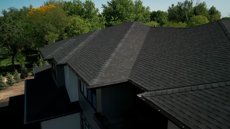 Best Steel Roofing  in Hinckley, IL